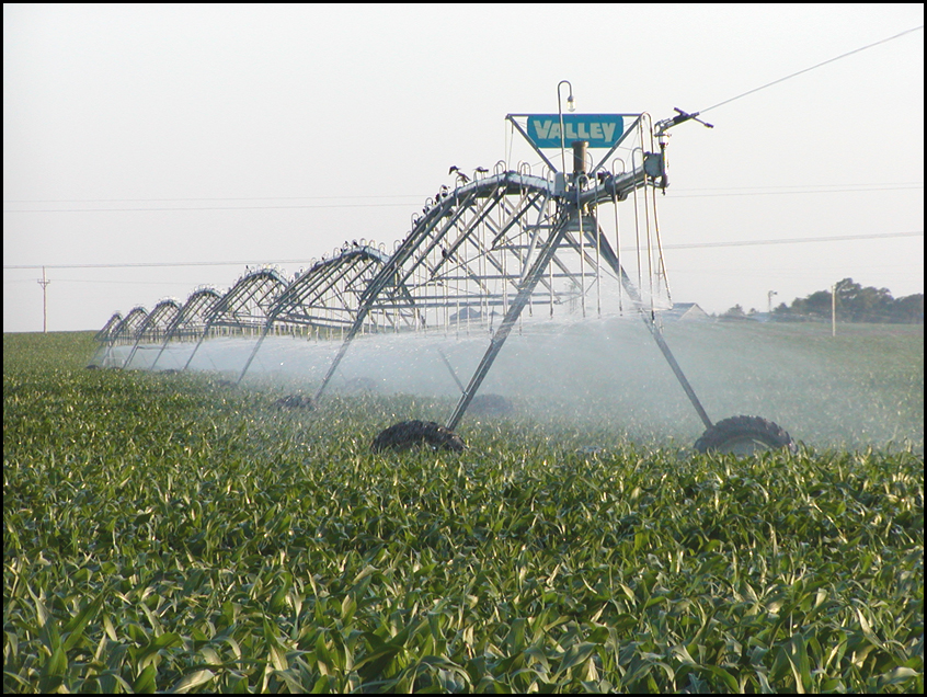 pivot irrigation in corn