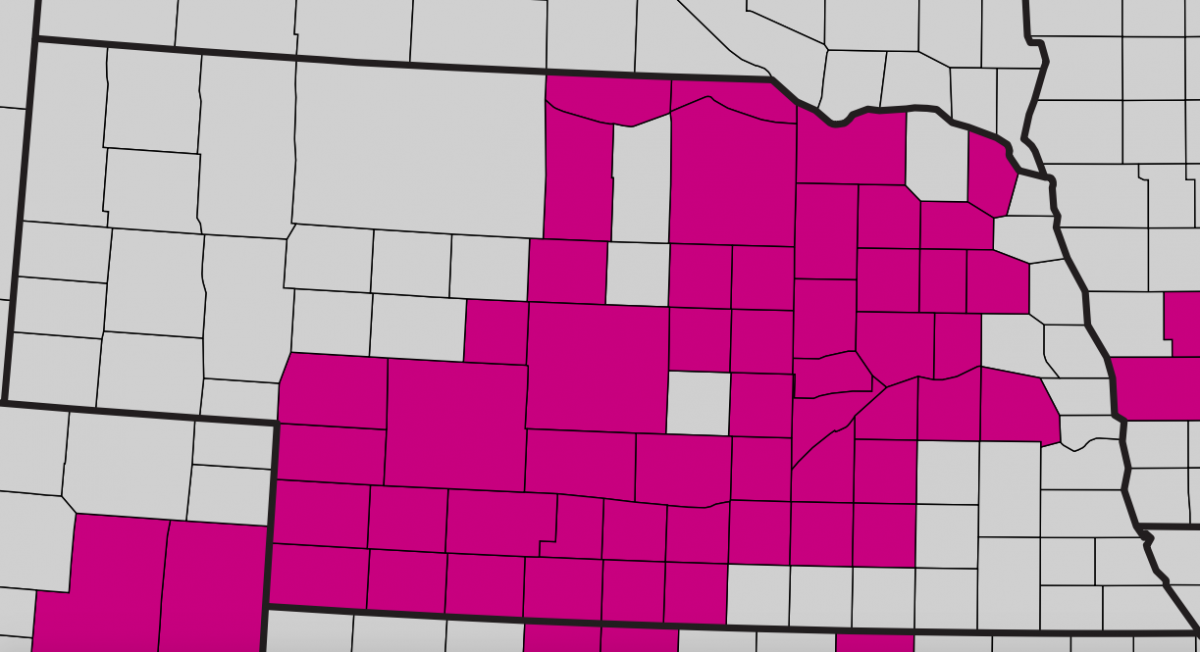 Nebraska map showing counties with bacterial leaf streak.