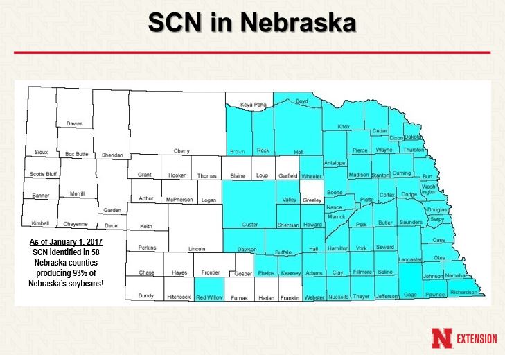 Nebraska map showing counties with SCN