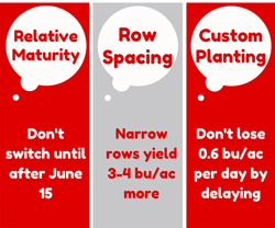Delayed soybean planting tips