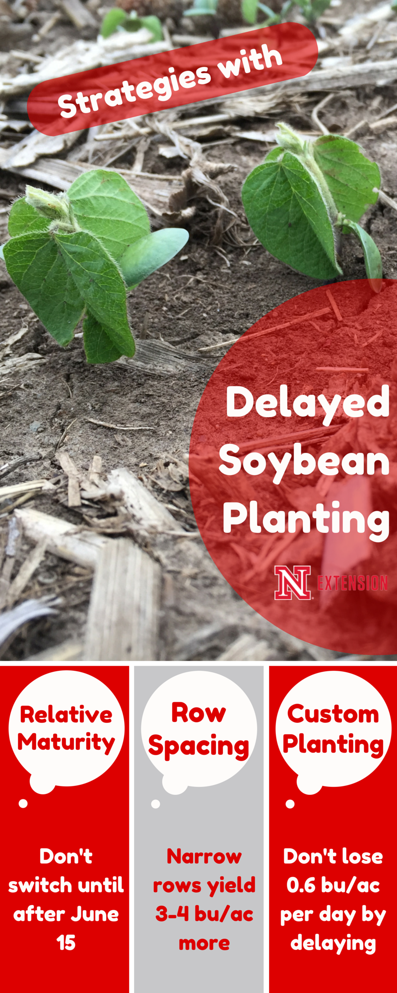 Benefits of delayed planting