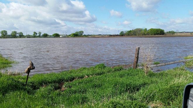 Flooded field near Cretge