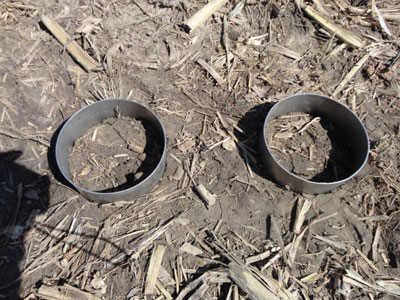 Soil tests as part of UNL cover crop research