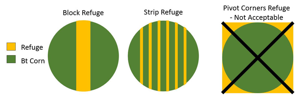 Illustration of block and strip refuges