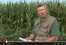 Soil Infiltration Video Overview
