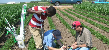 University researchers installing soil water sensors