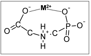 Image of glyphosate bound to a metal ion