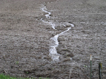 Photo of field gully in bare soil