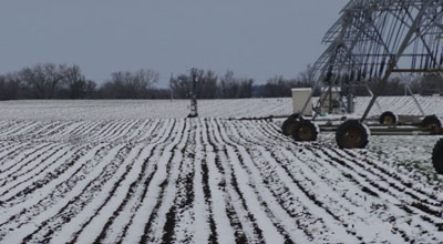 May 1, 2013 snow-covered soybean field