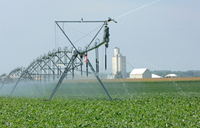 Photo - Soybean irrigation