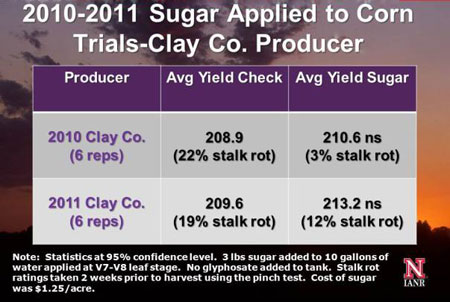Clay County producer research results from applying sugar to corn.