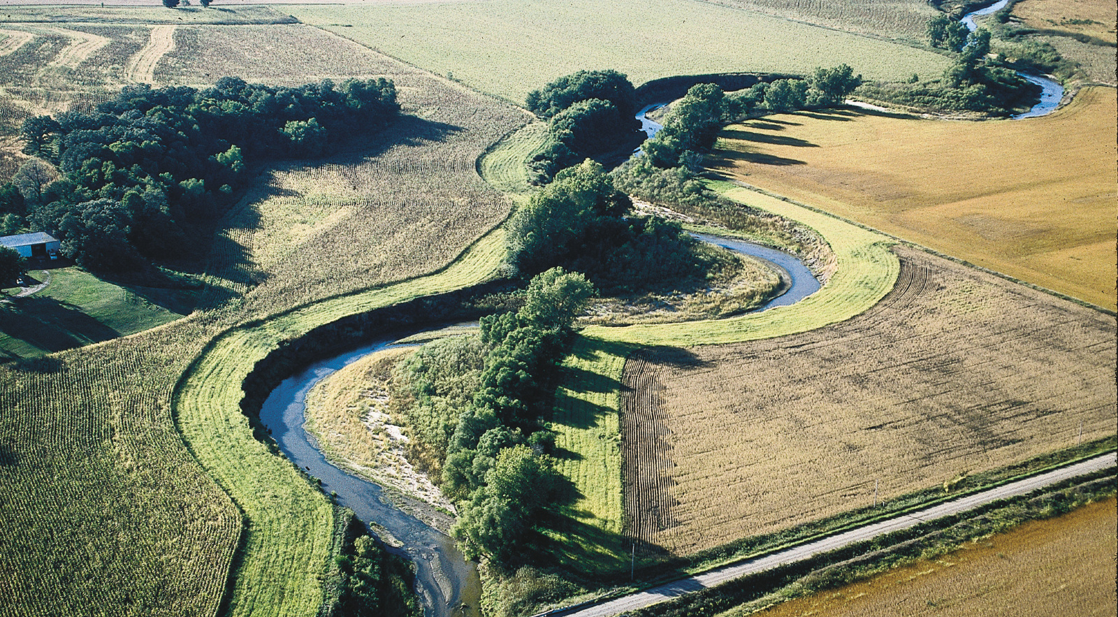 Nda Funding Available For Buffer Strips Cropwatch University Of