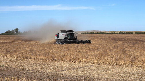 A combine harvests dry beans in a dry Nebraska field, raising a cloud of dust under a clear blue sky.