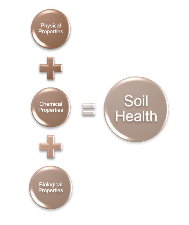 Graphic-Soil-Health-Elements