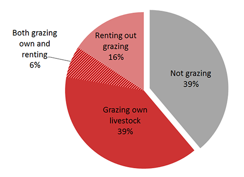 Pie chart of survey respondents use of grazing corn residue
