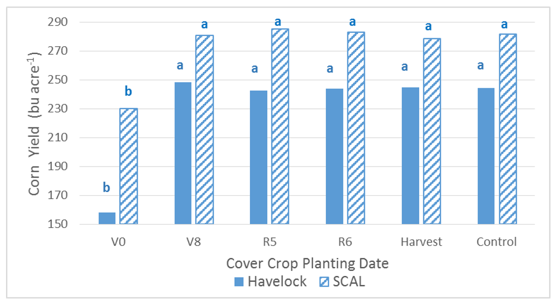 Chart of effects of cover crop planting date on yield 