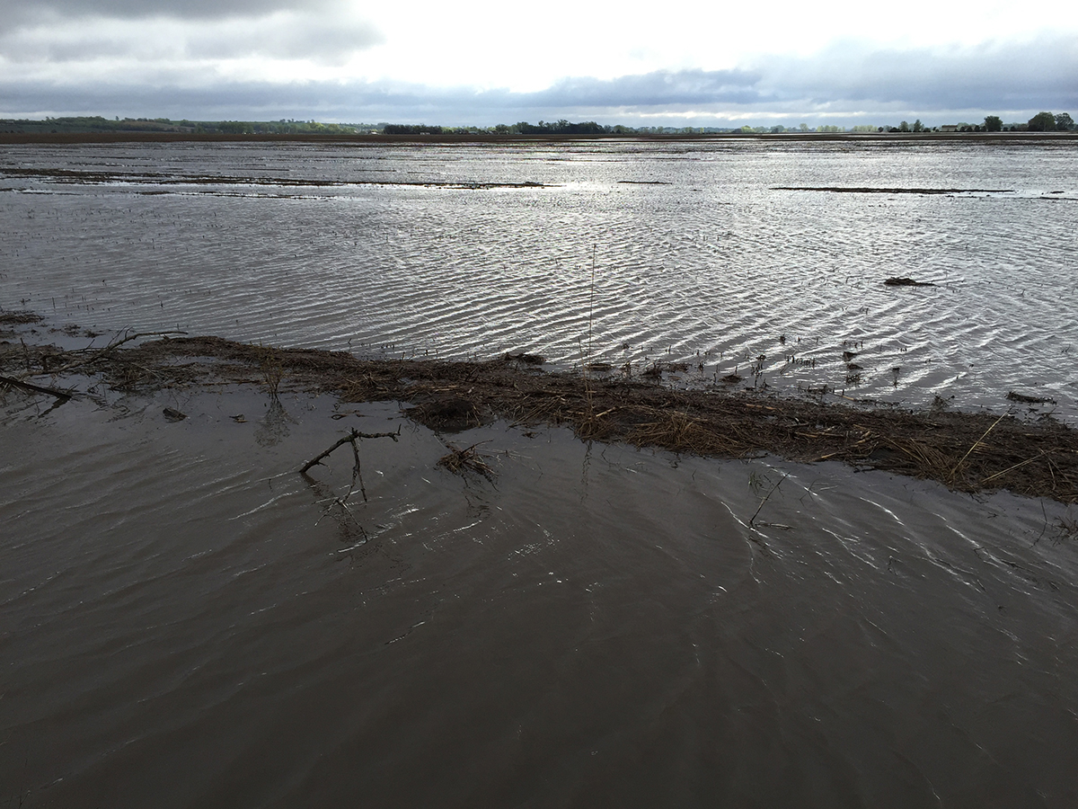 Flooded field northwest of Fremont in the Platte River Valley