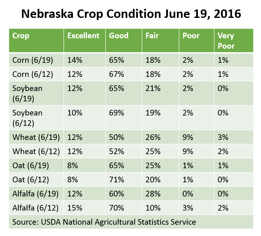 Crop condition report 6/19/16