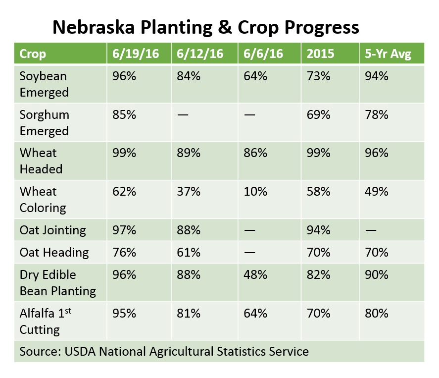 Crop Progress Report 6-19-16