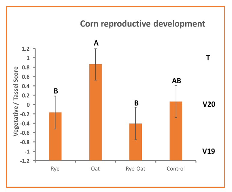 Chart showing differences in corn development stages on July 21.