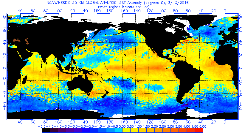 Animated world map showing shifts in sea temperature