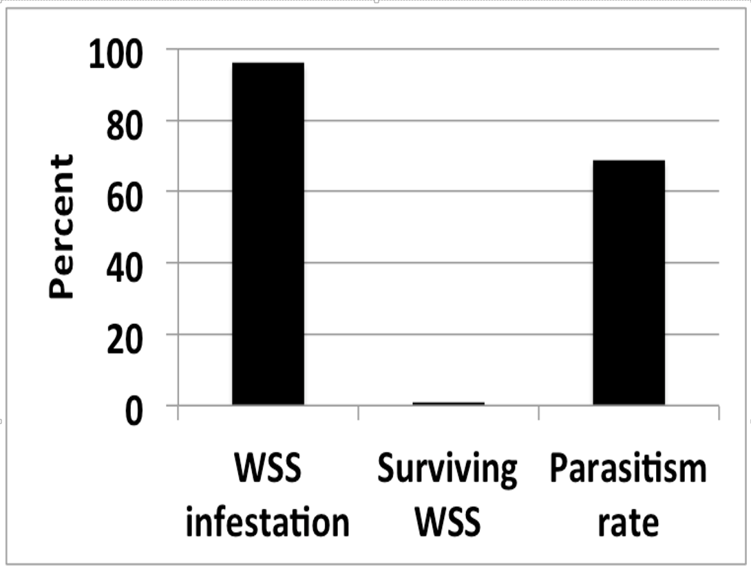 Wheat stem sawfly survey results
