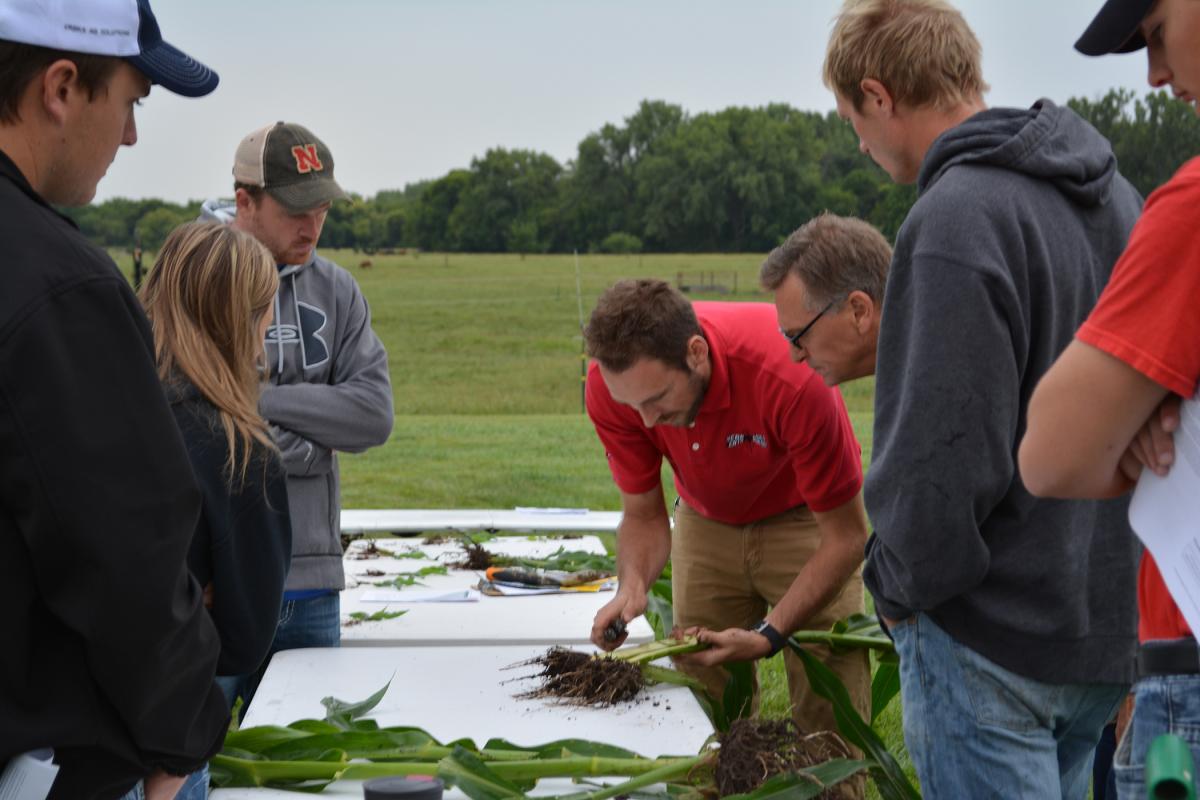 Justin McMechan working with participants to examine corn roots.