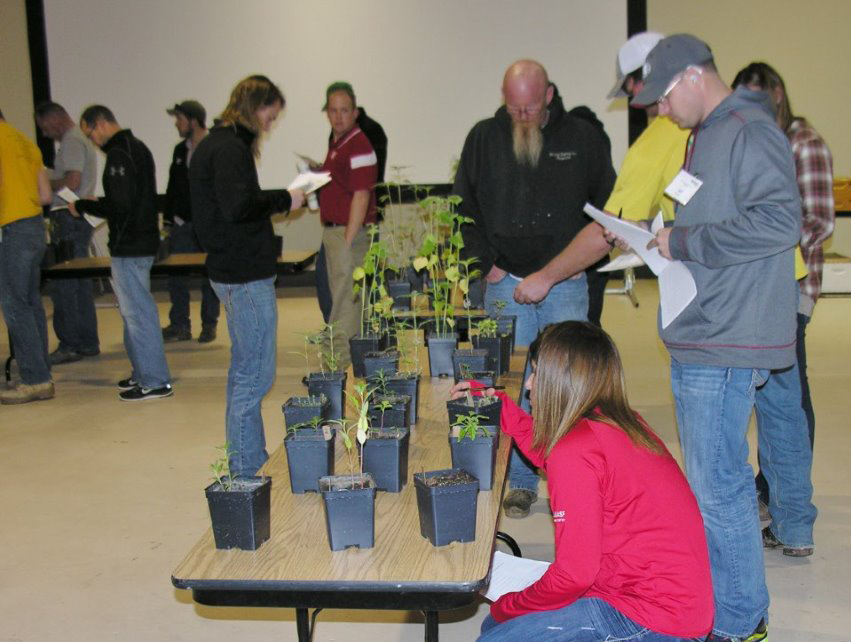 crop scout training