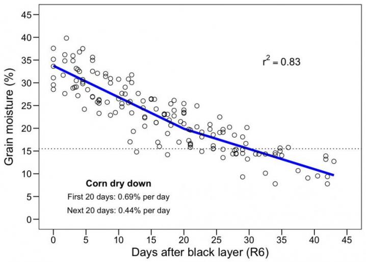 ISU Chart on Dry-down rate of mature corn