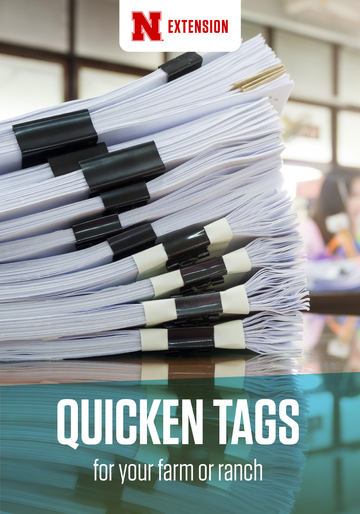 Illustration of sorting with Quicken Tags