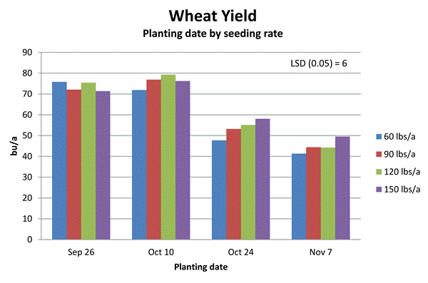 Chart of wheat yields per planting date and seeding rate