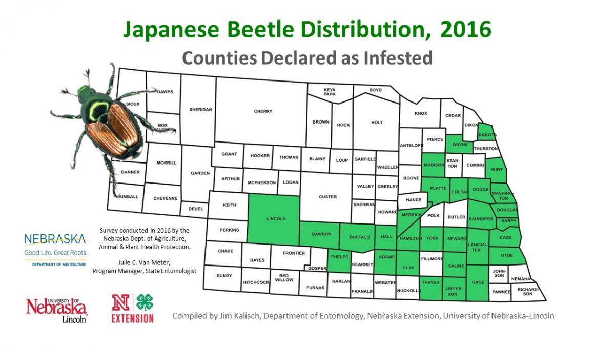 Nebraska map of Japanese beetle distribution