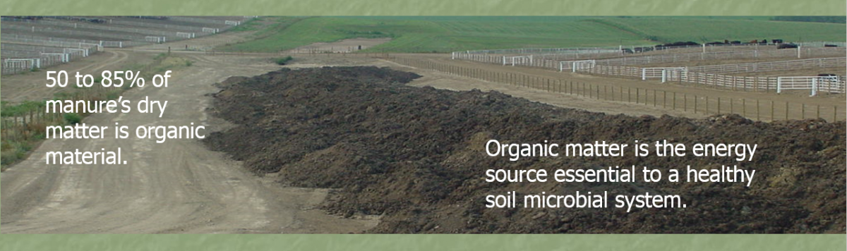 I. Introduction to Maximizing Manure Benefits in Soil Improvement