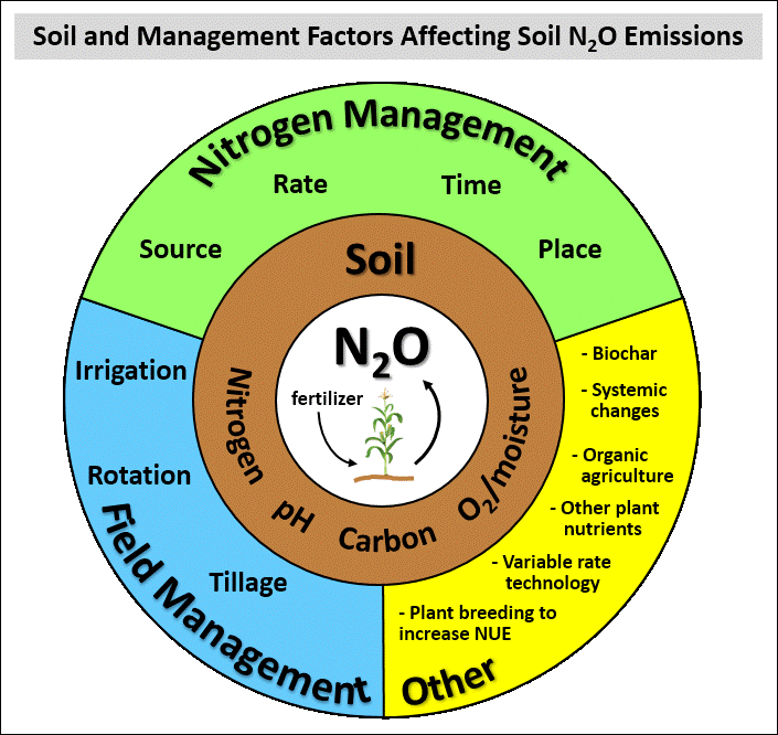 Pathways of soil N2O uptake, consumption, and its driving factors