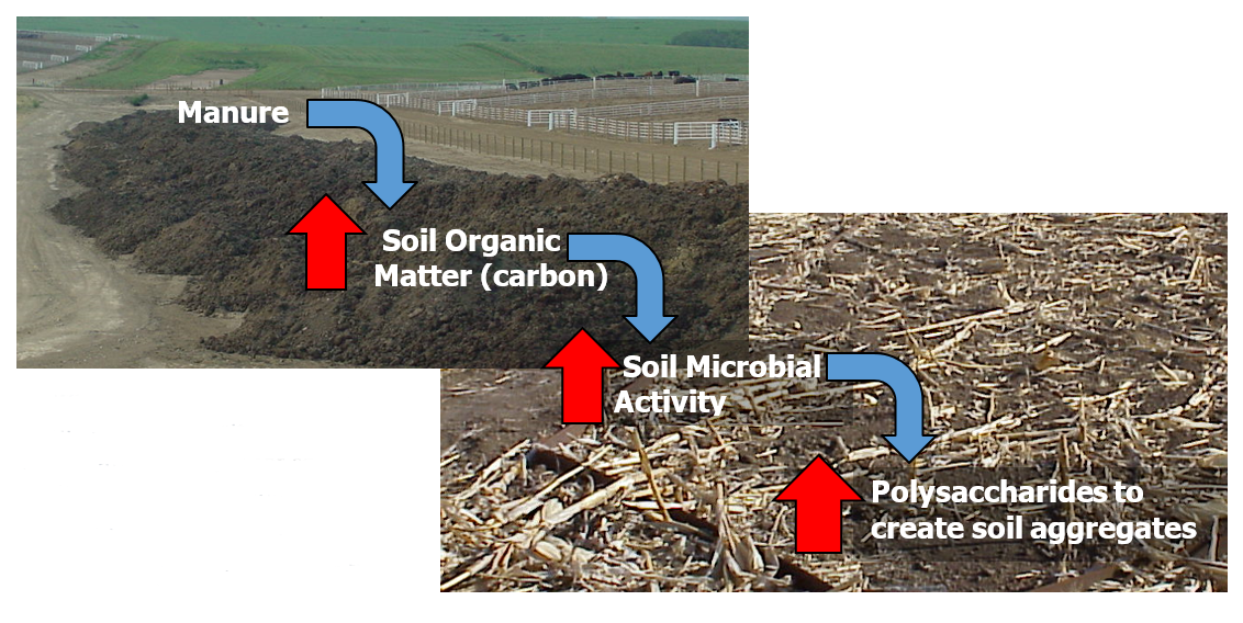 How manure reduces soil erosion and runoff