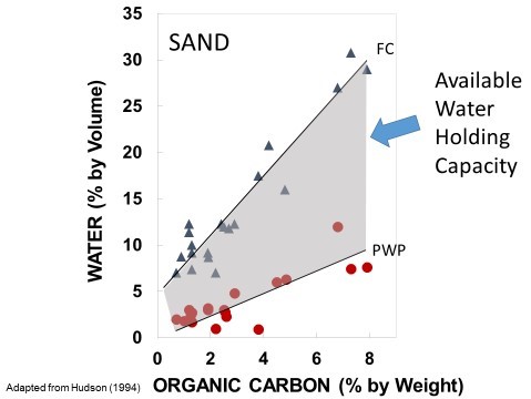 Figure 1. Relationship between soil organic carbon and available water holding capacity in soils of sand particle size. FC = Field Capacity, PWP = Permanent Wilting Point. (adapted from Hudson, 1994).
