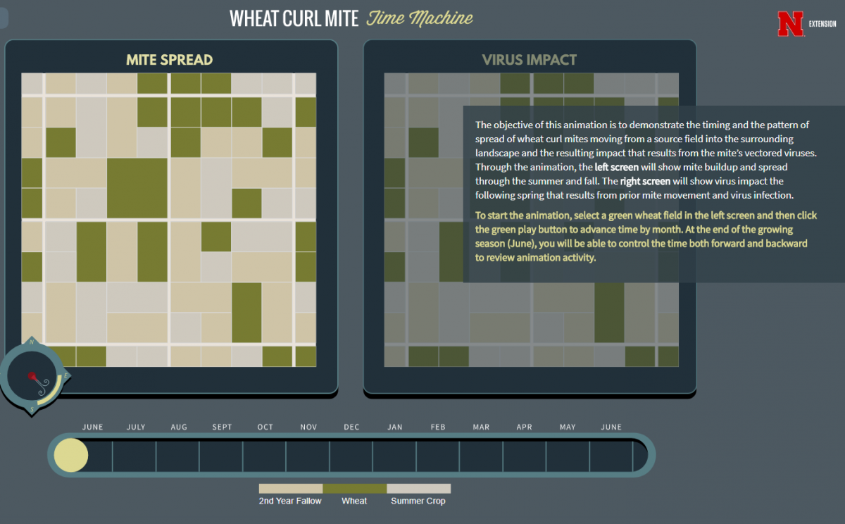 Wheat curl mite animation