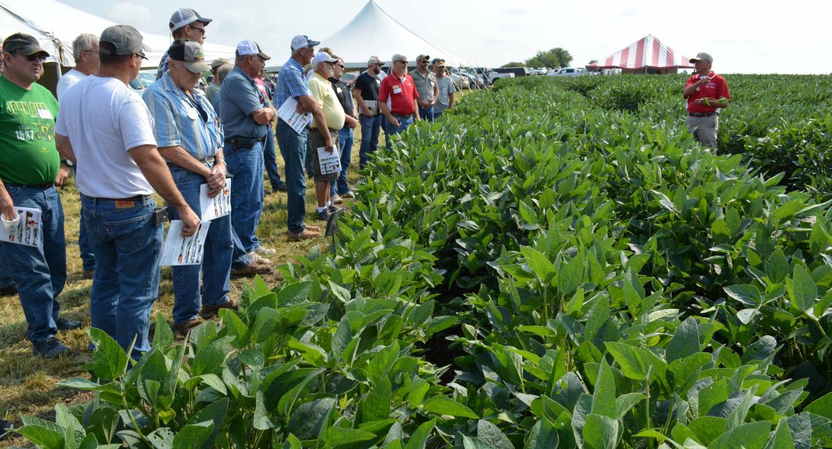 Auburn Soybean Management Field Day in 2017