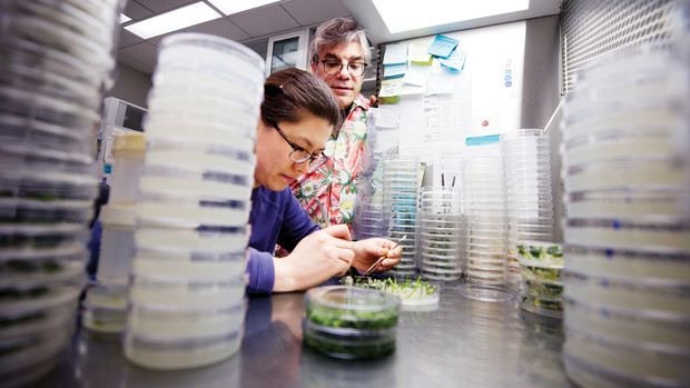 PSI researchers Lili Hou and Tom Clemente