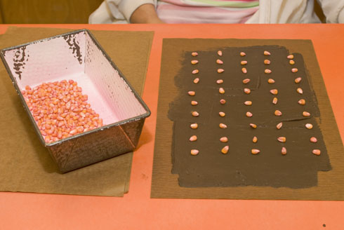 Seeds are counted and placed in cold soil paste