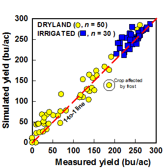 Graph showing alignment of forecasted and actual yields, validating Hybrid Maize