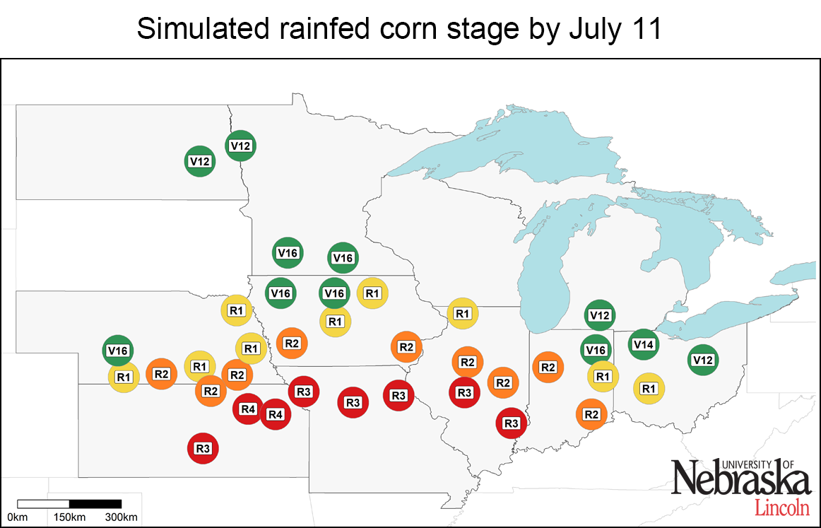 Estimated corn growth stage at rainfed sites, July 18, 2017