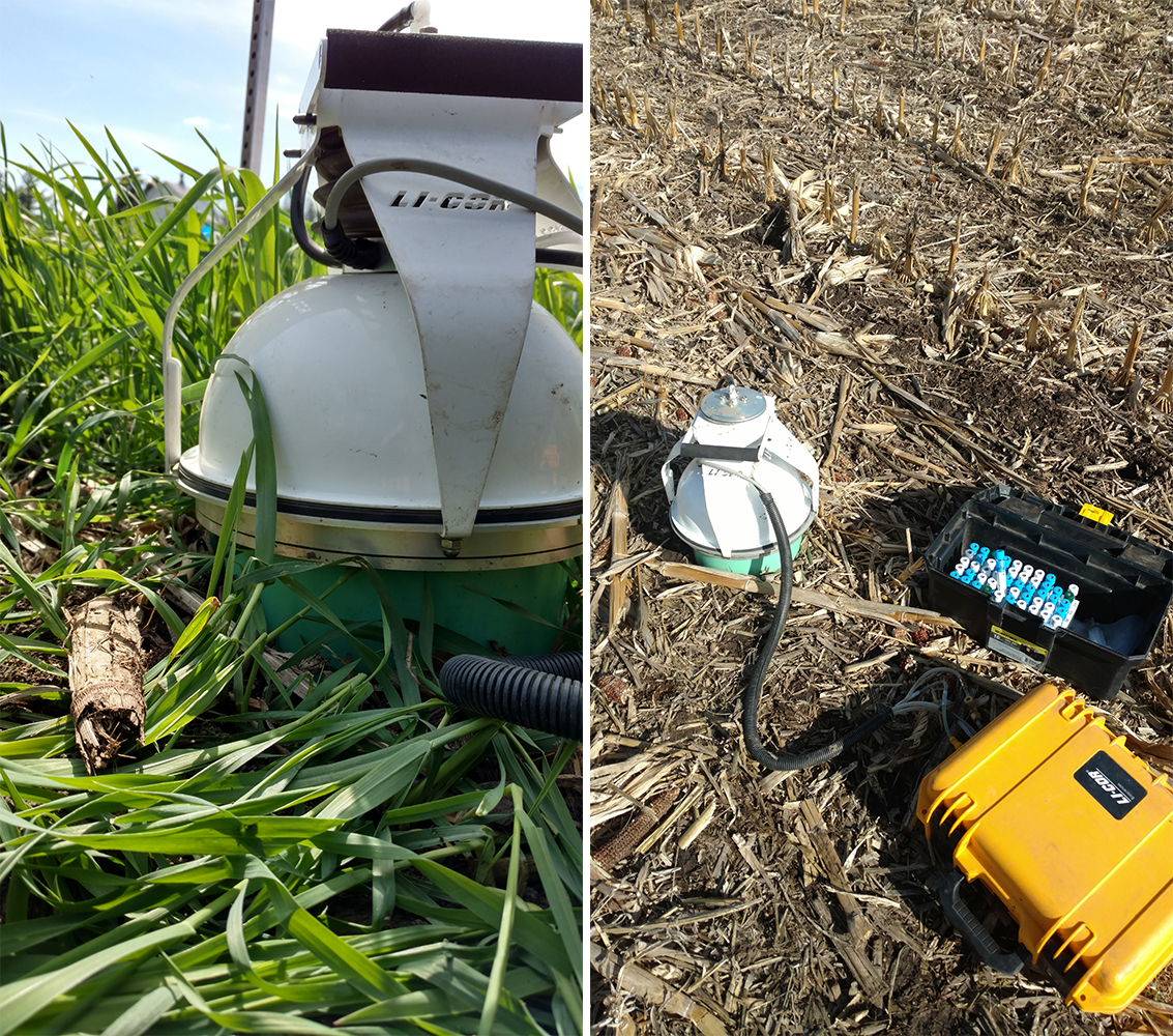 Field sensors measuring CO2 loss under cover crops
