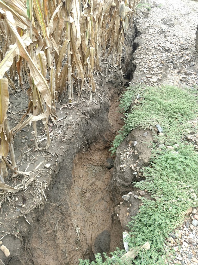 Soil erosion following recent heavy rains