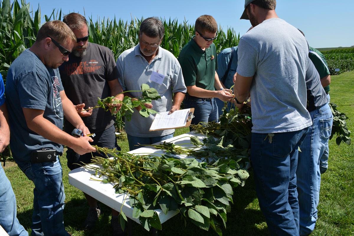 Growers examine soybean plants during a hands-on diagnostic during an earlier Soybean Production Clinic.
