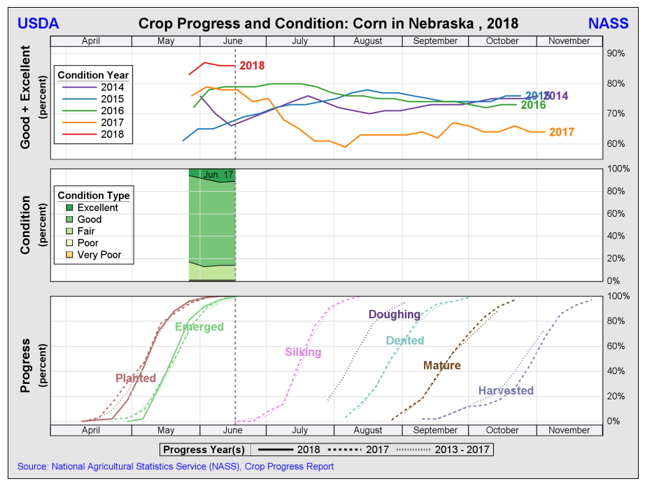 USDA NASS chart of June 2018 corn progress and condition