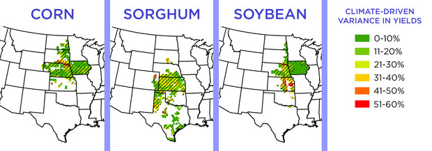 Figure 1. Maps showing how much of the variance in corn, sorghum and soybean yields were due to shifts in temperature and precipitation between 1968 and 2013. 