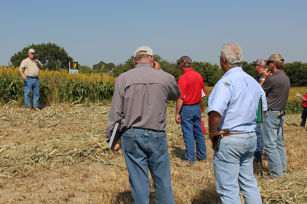 Rick Kochenower, Agronomist, Sorghum Partners, discusses field performance of hybrid entries 