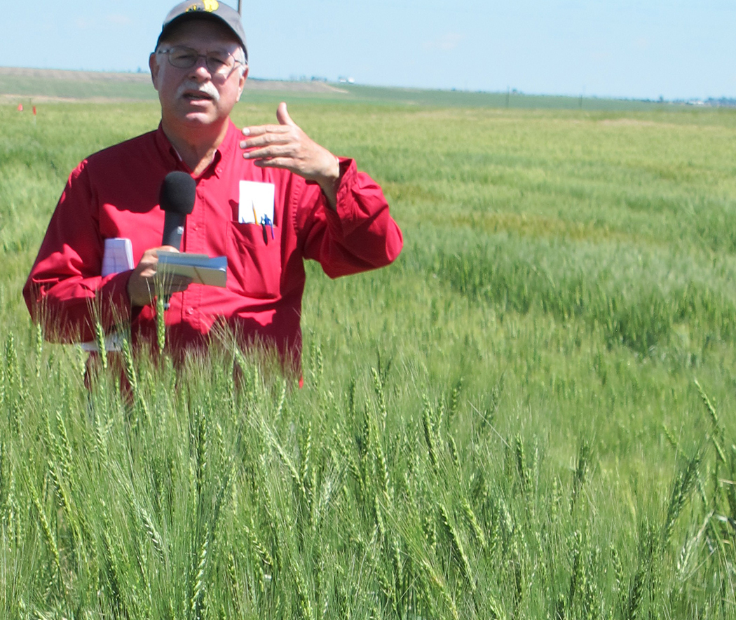 Agronomy Professor Stephen Baenziger speaking at a wheat variety trial field day at the High Plains Ag Lab near Sidney in 2018.