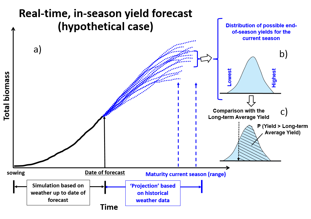 Diagram showing how the corn yield forecasts are performed with Hybrid-Maize